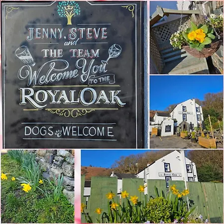 Hotel Royal Oak